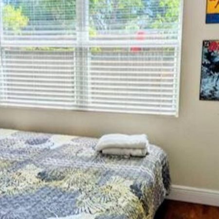 Spacious House With Big Backyard In N. Hyde Park / Close To Downtown 탬파 외부 사진